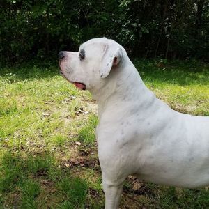 Meet your Posher, Rock